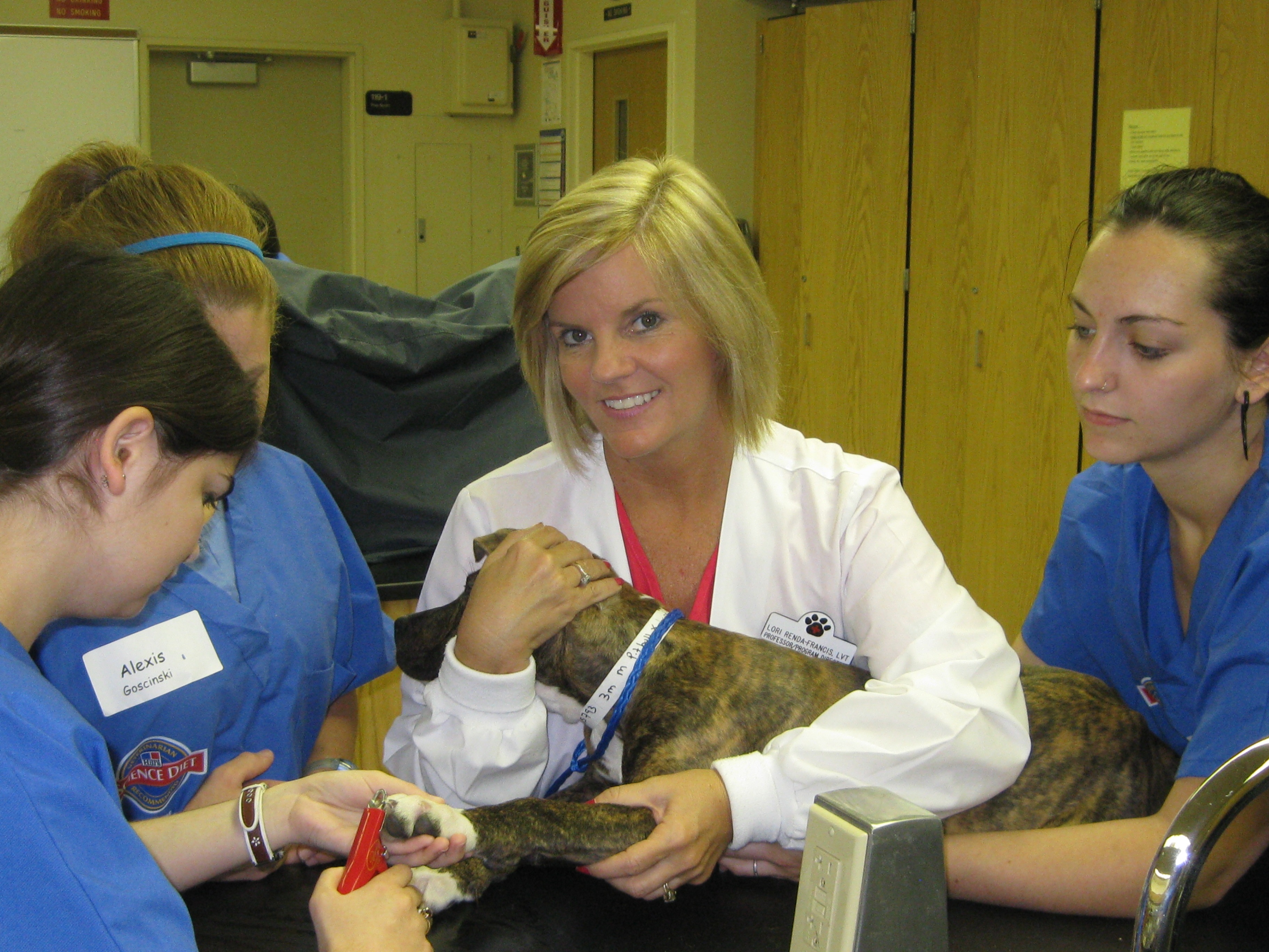 Colleges With Pre Vet Programs In Michigan