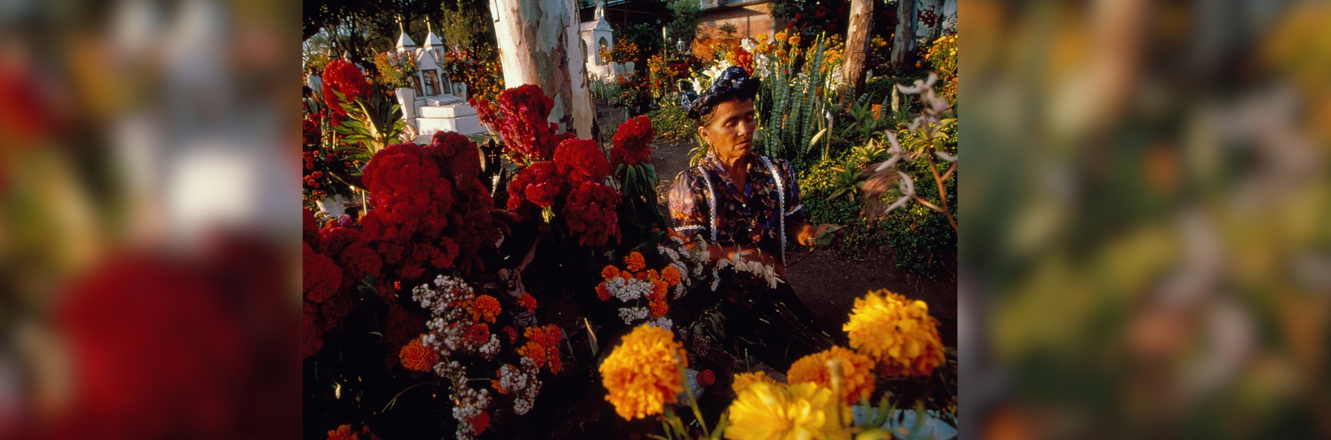 The Lorenzo Cultural Center's Día de Muertos exhibit and programming includes A Celebration of Souls: Day of the Dead in Southern Mexico, a photo exhibition featuring 26 framed color photographs. © S. Vlaun