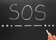 student options for success