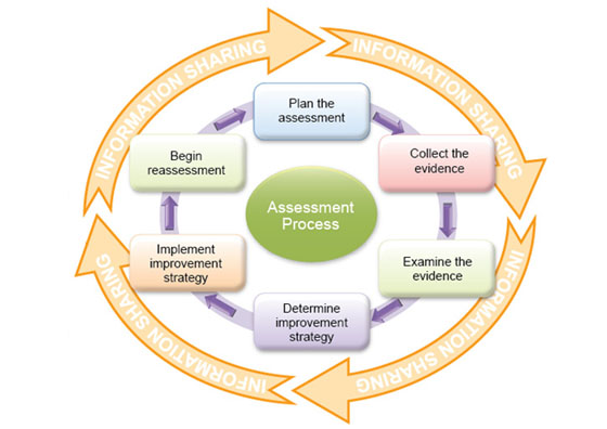 Assessment Process