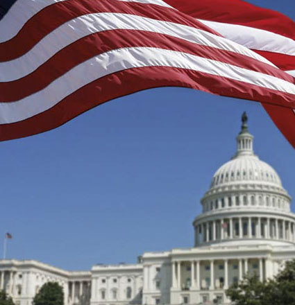  Political Science