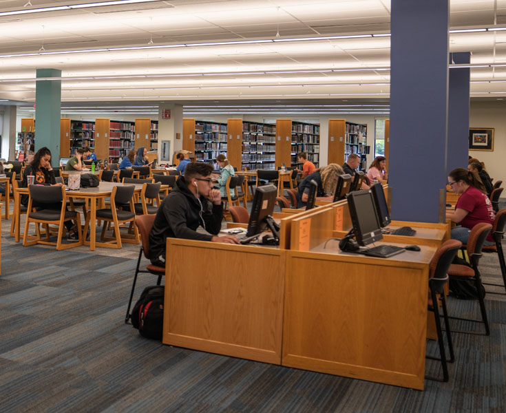 Students using the library.