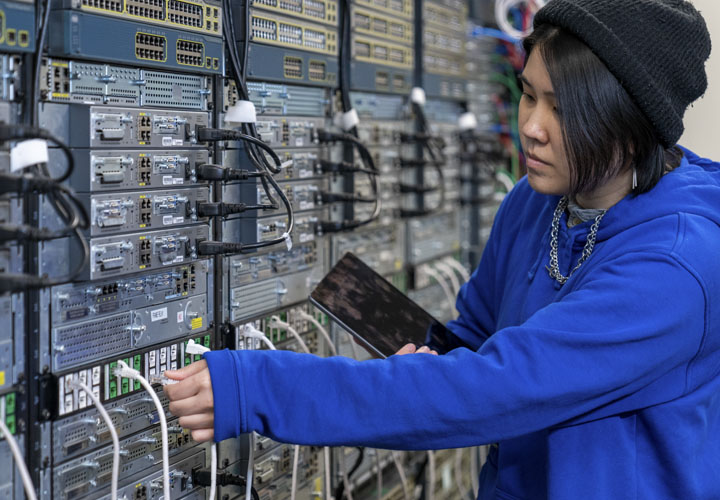 Business and Information Technology Apprenticeships