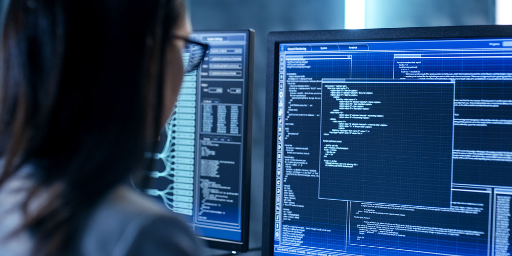 Information Technology (IT) Network Security Professional (Cybersecurity)