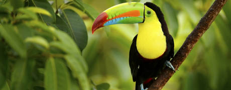 travel base costa rica 2027