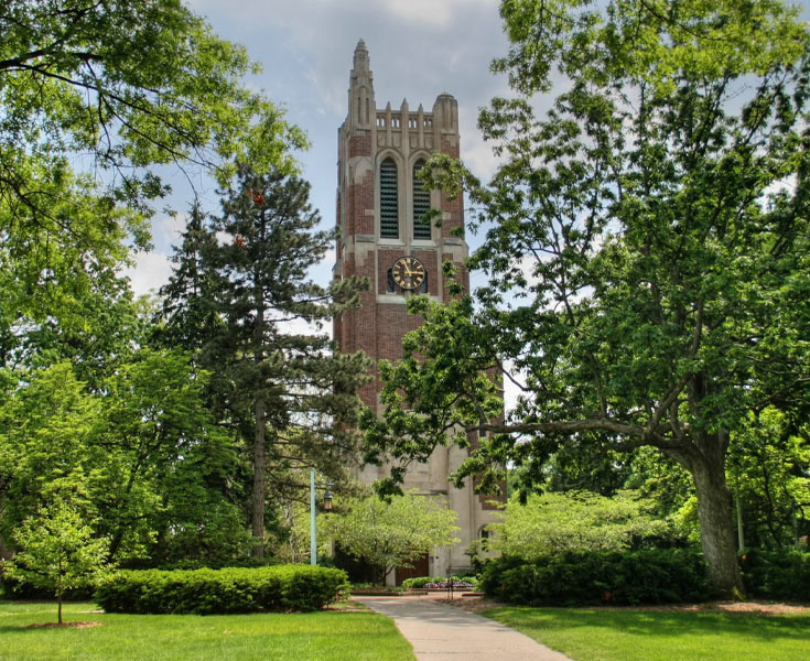 michigan state university