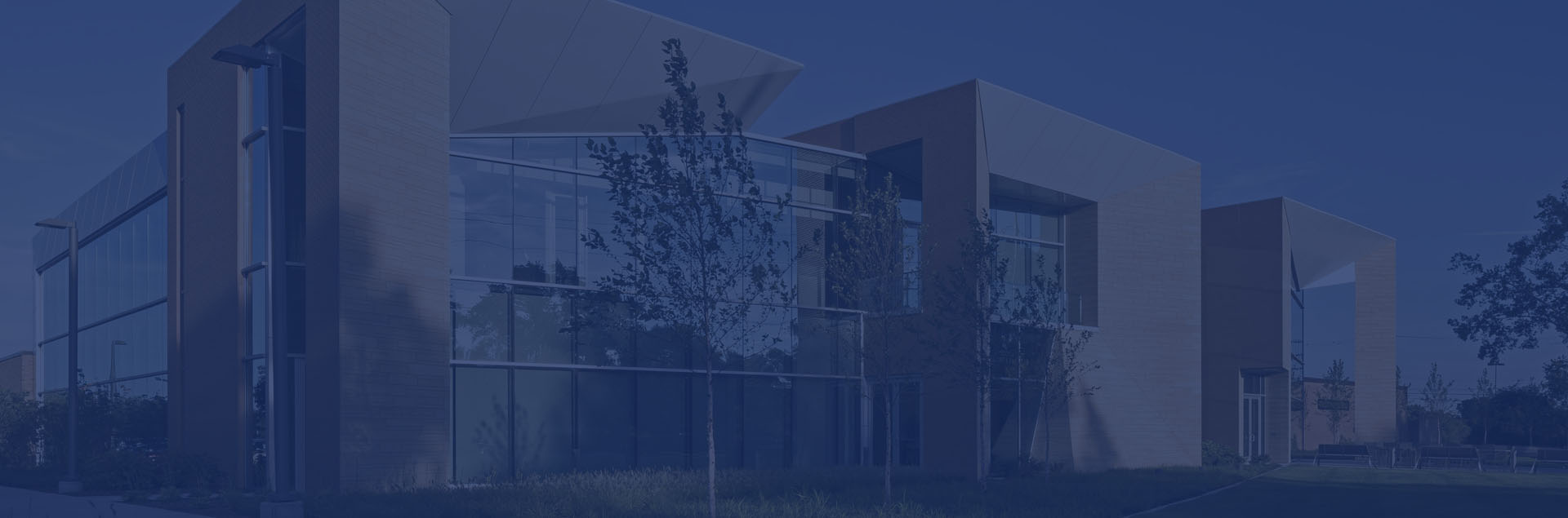 walsh college