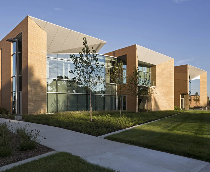 walsh college